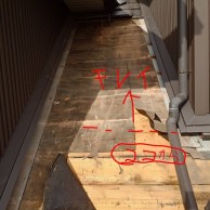 射水市H様　瓦下地修繕